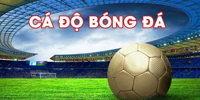 Trang cá độ bóng đá uy tín